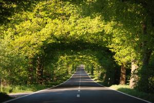 Ferienwohnung mit Balkon Gustow auf Rügen