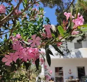 Eva's place - Grambiá