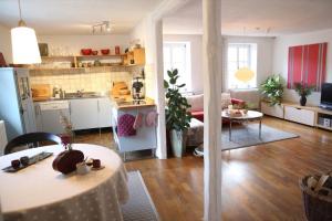 Luise Im Künstlerhaus