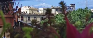 Large Double Room room in Abacus