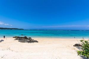 沖縄の空 海 森を贅沢に独り占めできる森の中の隠れ家