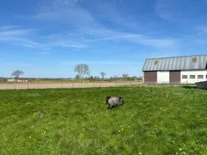 Österlen Oasis - Rönnebröd