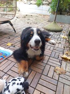 Frühstückspension zur Post