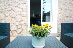 Appartements Appartement avec terrasse privee, plage a pied : photos des chambres