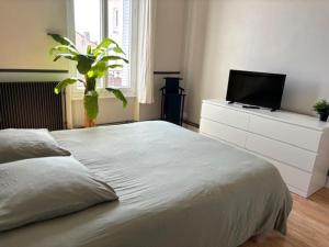 GRAND APPARTEMENT DE CARACTERE à VICHY