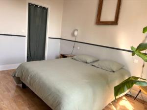 GRAND APPARTEMENT DE CARACTERE à VICHY