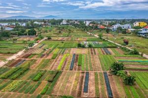 Tri Tran Homestay