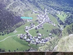 The Green Owl CIR 0001