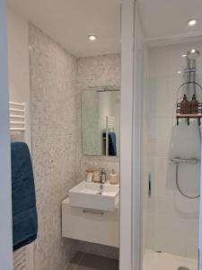 Appartements Grand appartement lumineux Rennes : photos des chambres