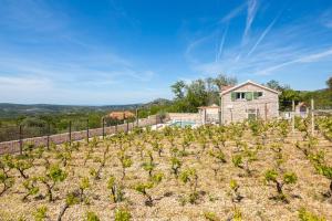 Villa Cavalleria Rusticana with heated pool and vineyard