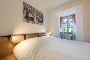Appartements Grande Anita - Centre ville - Parking prive : photos des chambres