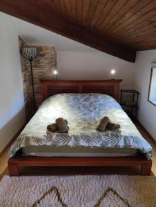 Maisons de vacances Le petit nid du marais : photos des chambres