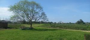 Thanh Chiêm Village