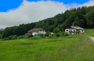 Kriegwald Apartements - Wegscheid