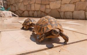 Nice Home In Seget Donji With Wifi