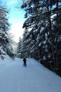 Appartements Villa le bois Joli : Maison 8 Chambres
