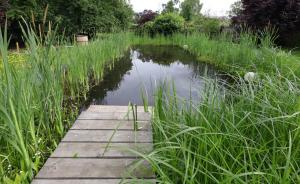 Ferienwohnung am Schwimmteich