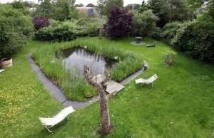 Ferienwohnung am Schwimmteich - 维恩豪森