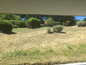 Hotels Le Cardinal - Belle-Ile-en-Mer : Chambre Familiale Standard