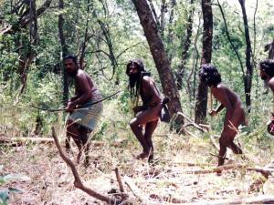 Explorer by Eco Team - Dambana