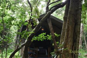 Explorer by Mahoora - Wasgamuwa