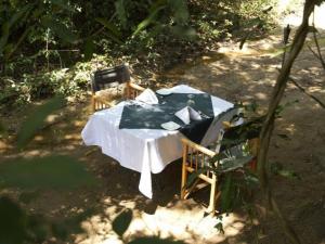 Explorer by Eco Team - Dambana