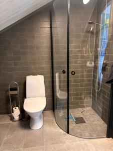 Guldkusten i Höga kusten