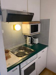 Studio, Bergblick, 2 Betten, 1 Schlafsofa