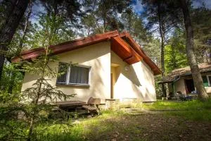 Przystań Lubniewice - Duże Domki - Ośno Lubuskie