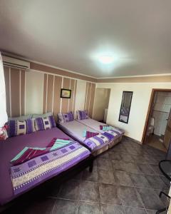 Apartments in villa Viktoria