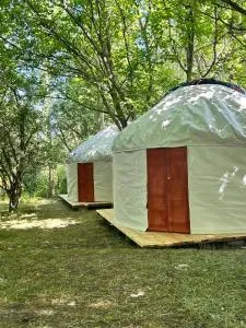 Saumal BOZ BIE - Kunsh