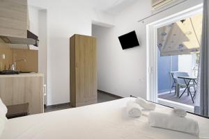 Iguana studio 8