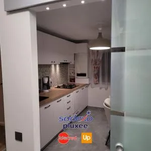 Hermann Apartment - Gherla