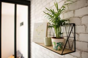 Charmant studio à Saint-Denis - accès direct Paris & Stade de France