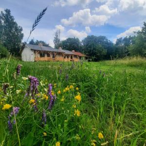 Kacze Bagno - Miejsce Inicjatyw Pozytywnych