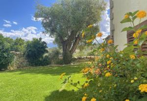 Villa del Golfo img14