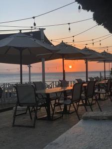 Bungalow #3 at Waterfront Playa Alicia