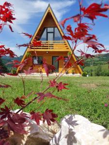 A Frame Panoramic Apuseni