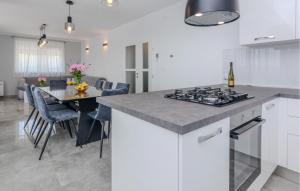 4 Bedroom Nice Home In Slivnica Donja