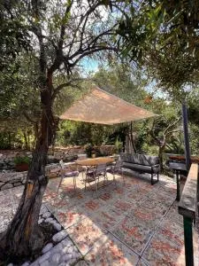 Seaside forest apartment - 乌尔贾纳