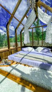 Tentes de luxe Chalet en verre sous une pluie etoilee : photos des chambres
