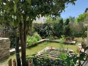 Les Papillons - 卡贝斯塔尼