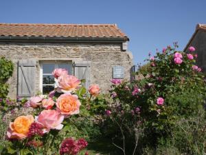 Hotels Eco-Domaine La Fontaine - HOTEL-SPA - Plage de la Fontaine aux Bretons : photos des chambres