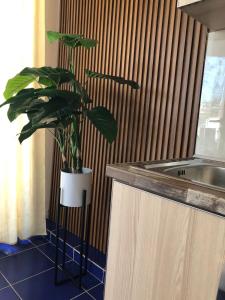 Ramos Charming Studio Apartment - 4th