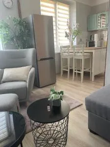 Tiny Studio Pyskowice with parking - Toszek