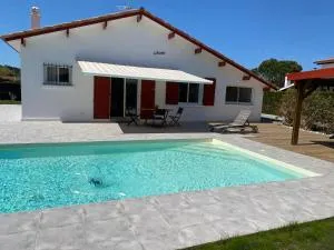 Landaise - Messanges