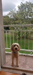 HOSTERÍA SEÑORÍO DE BIZKAIA