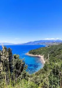 Malachè - Torchiara