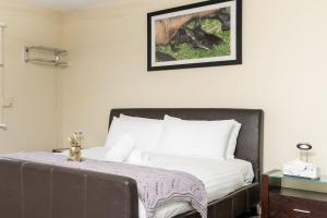 Serene 2BR House near the heart of Kingston - Hosted by CanStay