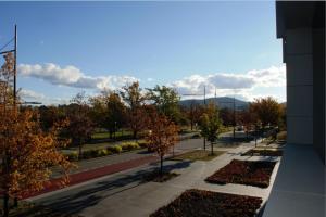 Homely Modern Apt between the Lake and City - Hosted by CanStay